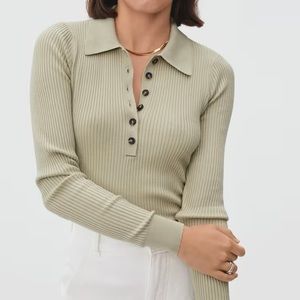 Everlane Merino Long Sleeve Polo